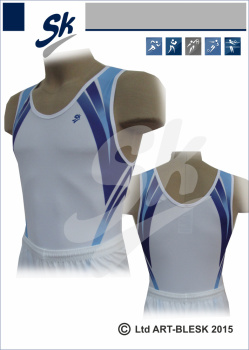 sk заготовка41е543