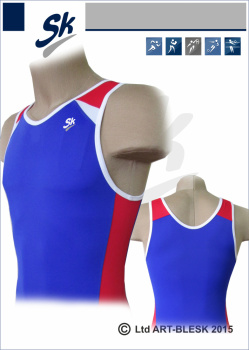 sk заготовка